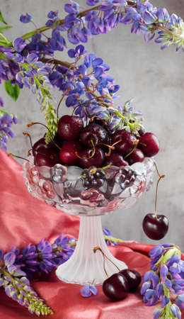 The art of still life of cherries in a vase, blue flowers and flowing clothの写真素材
