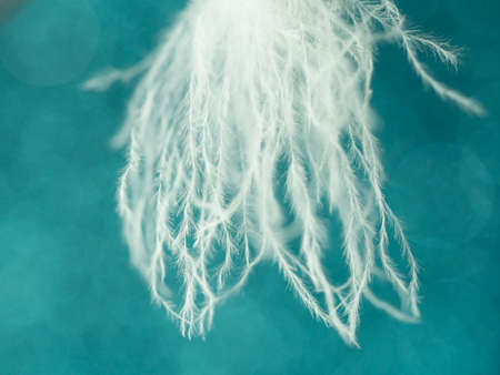 close-up white bird fluff on a blue background, with a bokehの写真素材