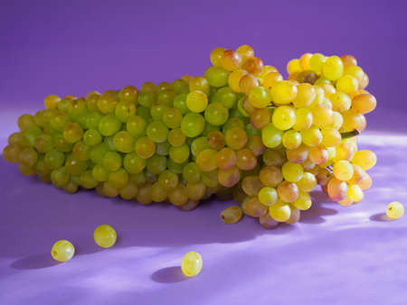 a bunch of green-red grapes on a purple background in the bright sun with a shadowの写真素材