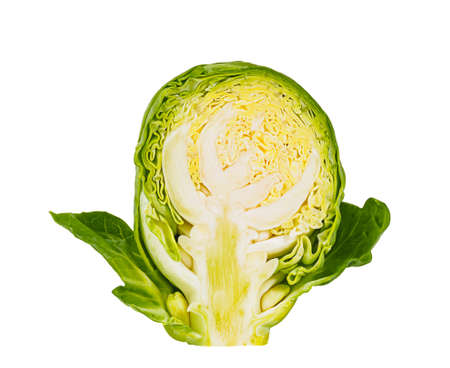 Brussels sprout cut in halfの写真素材