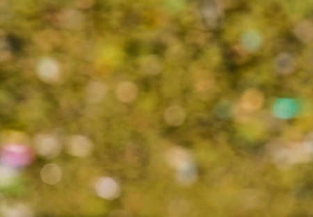 Abstract summer background bokeh. Water lilies in the pond.の写真素材