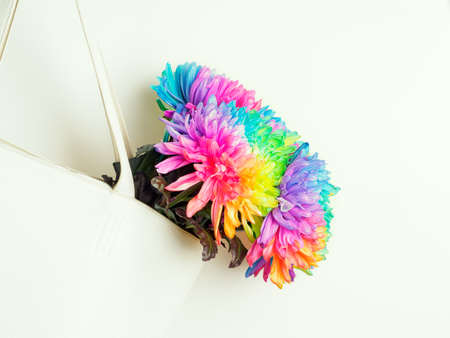 A bouquet of colored chrysanthemums in a white bag on a white background. Chrysanthemum is painted in rainbow colors.の写真素材