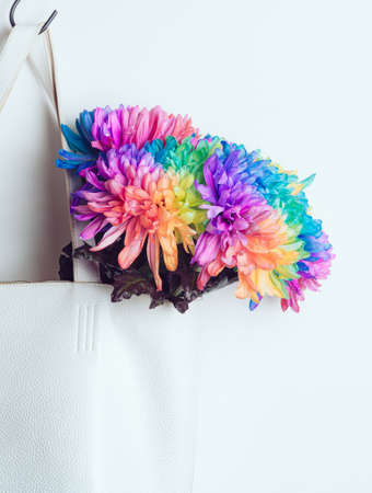 A bouquet of colored chrysanthemums in a white bag on a white background, copyspace. Chrysanthemum is painted in rainbow colors. The bag hangs on a black hook.の写真素材