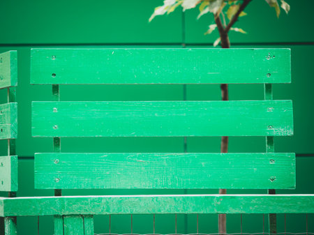 green background of wooden slatsの写真素材
