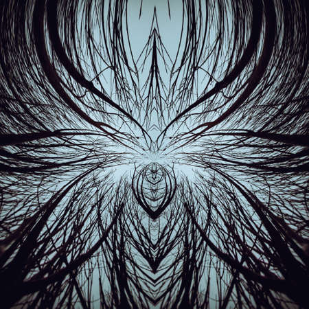 symmetrical abstract illustration - impenetrable forest, tops of black trees converging high in the sky, distorted spaceの写真素材