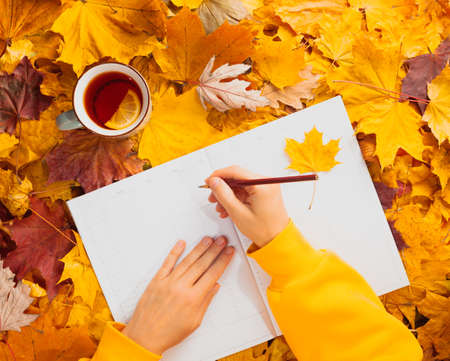 Autumn flat lay - colorful autumn leaves, a cup of tea with lemon, clean week planner, female hands in a yellow hoodie, pencil in hand.の写真素材