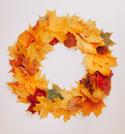 A wreath of autumn fallen leaves of different sizes and colors on a light background, copy space, autumn conceptの写真素材