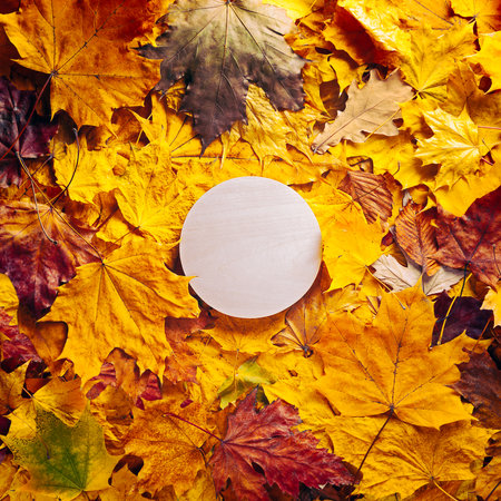Autumn concept - background of dry fallen autumn leaves with space for text in the middle - round wooden podium surrounded by autumn leaves, copy spaceの写真素材