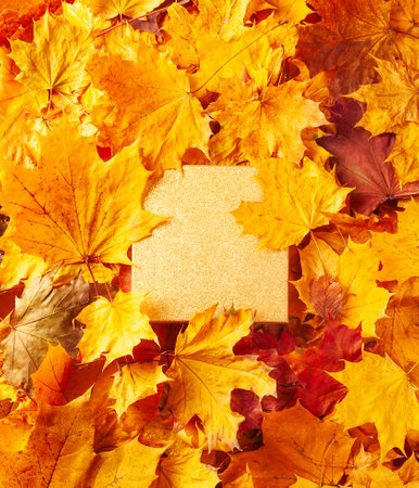 Autumn concept - background of dry fallen autumn maple leaves with space for text in the middle -...