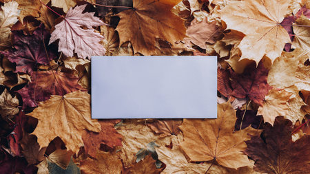 Autumn concept - background of dry fallen autumn leaves with space for text in the middle - blue envelope surrounded by autumn leaves, copy spaceの写真素材