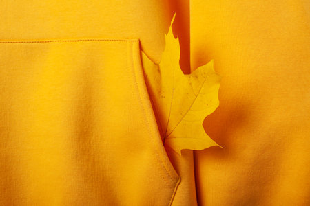 Autumn concept - one autumn yellow maple leaf sticking out of the pocket of a yellow hoodie. Close-upの写真素材