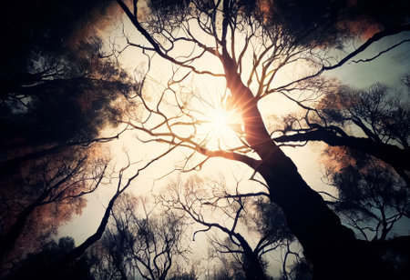 upward view of the tops of fabulous black trees without foliage, through which the sun beats into the eyes, AI-generatedの素材