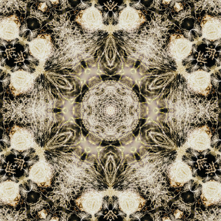 Kaleidoscope, white woven web on a black background. Macrame napkin. Series of abstract kaleidoscope patterns. Set of 6の写真素材