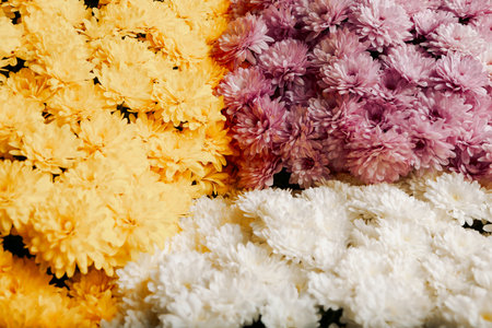 A stunning array of yellow, pink, and white chrysanthemums forms a vibrant visual symphony. Bouquetの写真素材