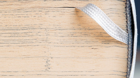 A close-up view of an aged book's spine with a white ribbon bookmark tucked in, showing the book's...