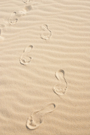 A series of footprints in a sandy dune, suggesting a journey on the beach. The natural light of the beach makes the footprints even more prominent against the light background.の写真素材