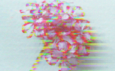 Abstract painting, flower with glitch, grain. A foreground of vibrant flower textured with pixelated distortionsの写真素材