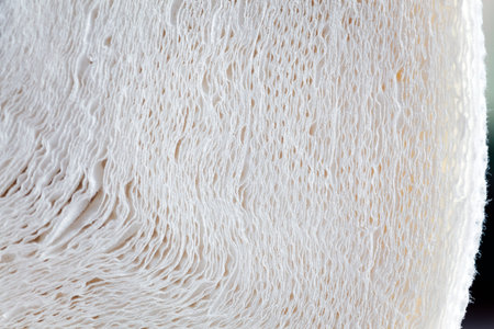 The paper towel's texture is visible as overlapping layers of soft white fibers create a rippled effect. The soft, absorbent nature of the towel is implied. Macro shot of a toilet paper rollの写真素材
