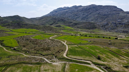 Gious Kambos Plateau, Crete, Greece, an orchid lovers destinationの写真素材