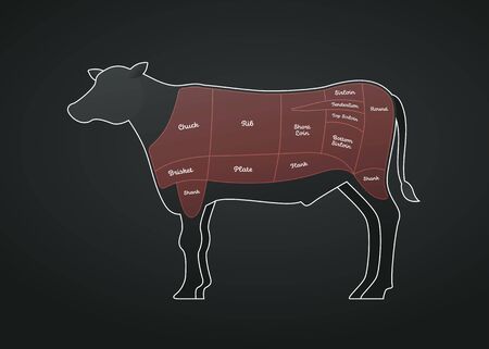 Vector beef steak diagram poster. American meat cutting. White modern style cow silhouette with markup. Red color zone highlighting and text. Design for cafe menu, decoration, butcher diagram poster.のイラスト素材