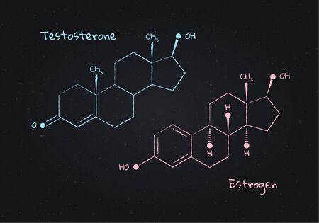 Vector testosterone and estrogene structure banner illustration set. Mullerian hormones . White chalk lines isolated on board background. Design element for pharma, education, medical.のイラスト素材