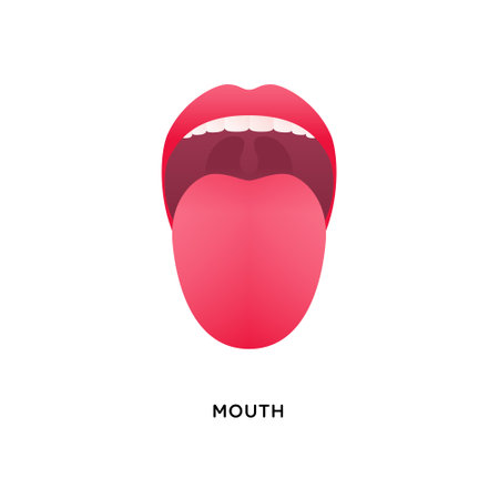Human organ collection. Vector flat modern anatomical icon color illustration. Tongue with lips. Mouth tasty sense symbol.のイラスト素材