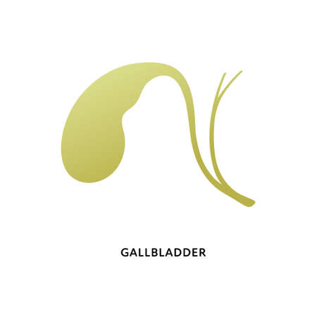 Human organ collection. Vector flat modern anatomical icon color illustration. Green thyroid gland isolated on white background. Health care medical sign. Design element for gastroenterology.のイラスト素材