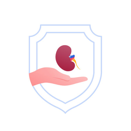Urology and organ transplantation concept. Vector flat medical illustration. Human hand holding...