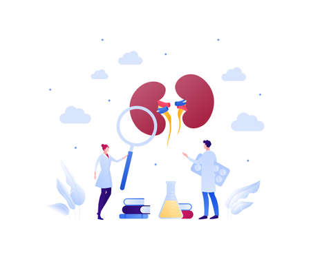 Urology disease treatment and research concept. Vector flat medical illustration. Human kidneys, medicine pills, magnifier glass and book sign. Male and female doctor scientist team.のイラスト素材