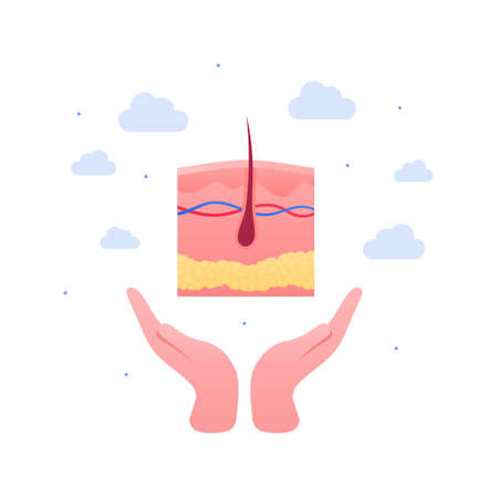 Dermatology and skin disease treatment concept. Vector flat medical illustration. Human hand holding skin layer with hair icon. Design for healthcare.のイラスト素材