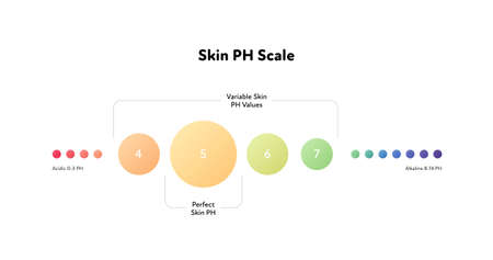 Ph scale infographic. Vector flat healthcare illustration. Acidic to alkaline meter with focus on perfect skin ph. Skin care. Design for pharmacy, health care, cosmetologyのイラスト素材