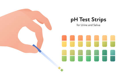 Ph strips scale infographic. Vector flat healthcare infographic. Human hand hold test sample strip. Color scheme for urine and saliva. Design for pharmacy, health care.のイラスト素材