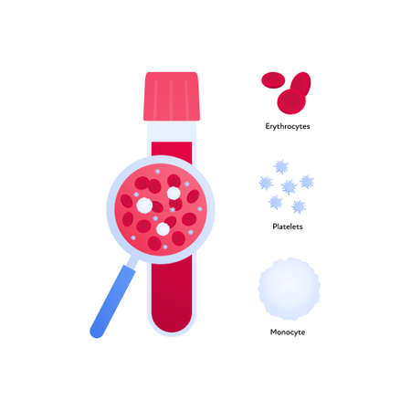 Types of blood cells and analysis concept. Vector flat healthcare illustration. Test tube with magnifier glass isolated on white background. Red erythrocyte and white monocyte cell symbol.のイラスト素材