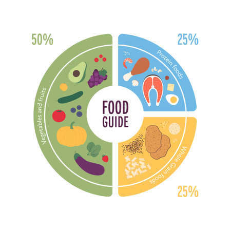 Healthy food plate guide concept. Vector flat modern illustration. Infographic of recommendation nutrition plan with percent labels. Colorful meat, fruit, vegetables and grains icon set.のイラスト素材