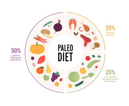 food guide concept. Vector flat modern illustration. Paleo diet food plate infographic with percent labels. Colorful food icon set of fruit vegetables, fruit, meat in circle frame.のイラスト素材