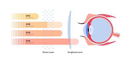 UV rays and visible light healthcare infographic. Vector flat illustration. UVA, UVB, UVC lights go and reflect by ozone layer and sun block lens to eye ball. Design for uv awareness month.のイラスト素材