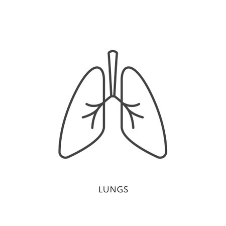 Outline style health care ui icons collection. Vector black linear illustration. Lungs anatomy symbol isolated on white. Design element for healthcare, respiratory system pulmonology infographicのイラスト素材