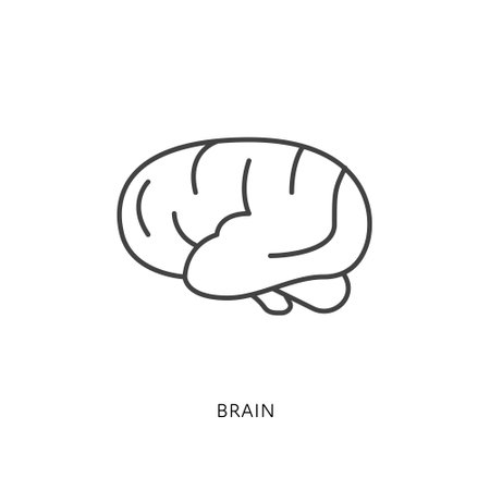 Outline style health care ui icons collection. Vector black linear illustration. Blood vessel anatomical symbol side view isolated on white. Design element for healthcare infographicのイラスト素材