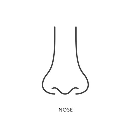 Outline style health care ui icons collection. Vector black linear illustration. sensory organ. Nose anatomy front view symbol isolated on white background. Design element for healthcare infographicのイラスト素材