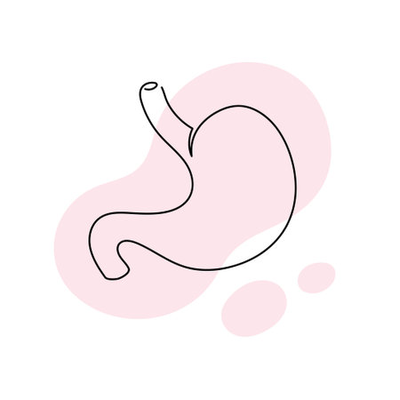 Healthcare one line concept. Vector healthcare linear illustration. Stomach intestine anatomy symbol silhouette on pink splash isolated on white background. Design for health care, gastroenterologyのイラスト素材