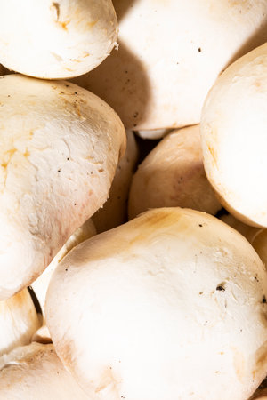 The texture of mushrooms as a background. A close shot of mushrooms. Macro photo.Champignons.の写真素材