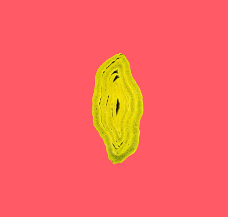 Modern art collage. Photo of a piece of leek. Modern food concept. Advertising, marketing and business.の写真素材