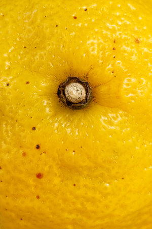 Lemon texture as a background. A close shot of a lemon. macro photo. lemon. Close-upの写真素材