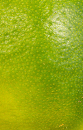 Lime peel texture as a background. Close up shot of lime peel. Macro photo.Green lime peel.の写真素材