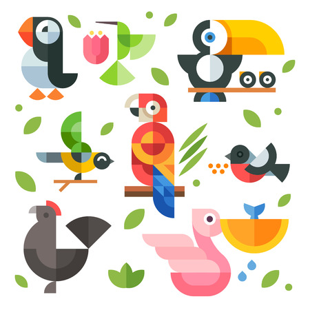 Color vector flat icon set and illustrations magic birds and chicks: toucan sitting on a branch pelican fishing hummingbird parrot chicken puffin bird bullfinchのイラスト素材