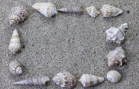 shellfish