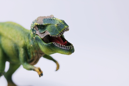 dinosaurの写真素材