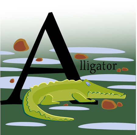 Colored Vector picture with an alligator, for design alphabetのイラスト素材