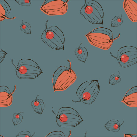 color pattern with fruits Physalisのイラスト素材