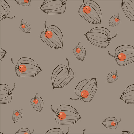 color pattern with fruits Physalisのイラスト素材